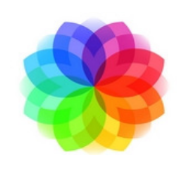 Count On Us Consulting Services